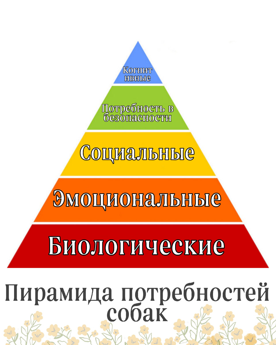 Уход за шерстью и кожей