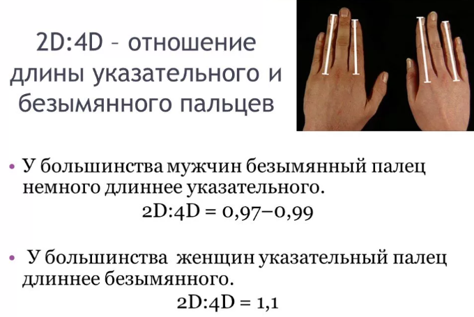 Толстые, длинные или кривые пальцы на руках - как узнать характер