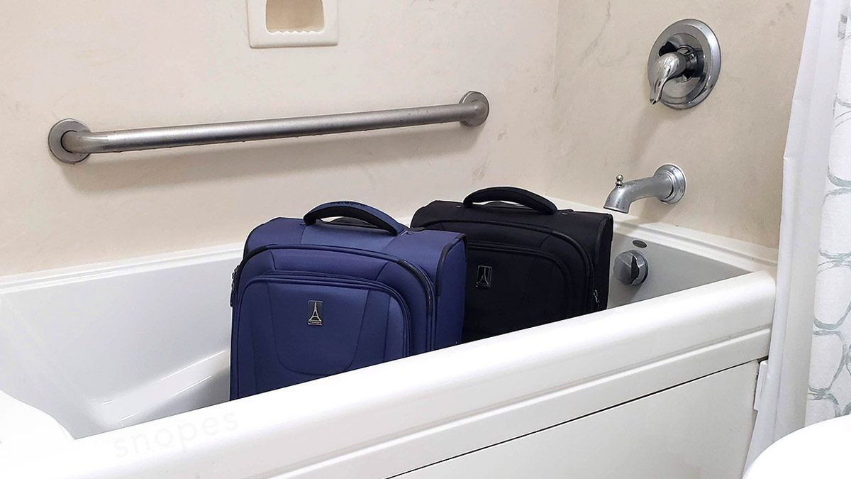 Стоп-кадр из видео публикации в exterminatornews.com: Is It A Good Idea To Put Hotel Luggage In The Bathtub Upon Arrival? 