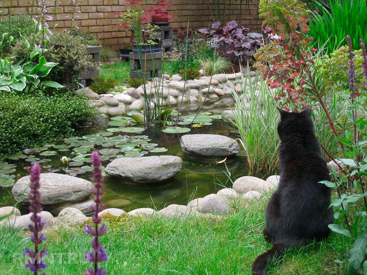 Компетенция суда