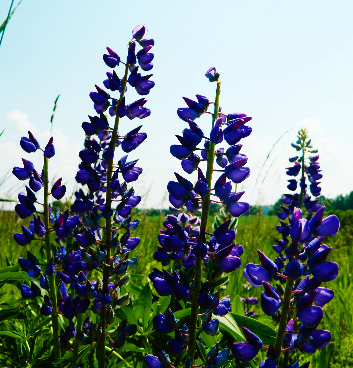 фото автора канала 