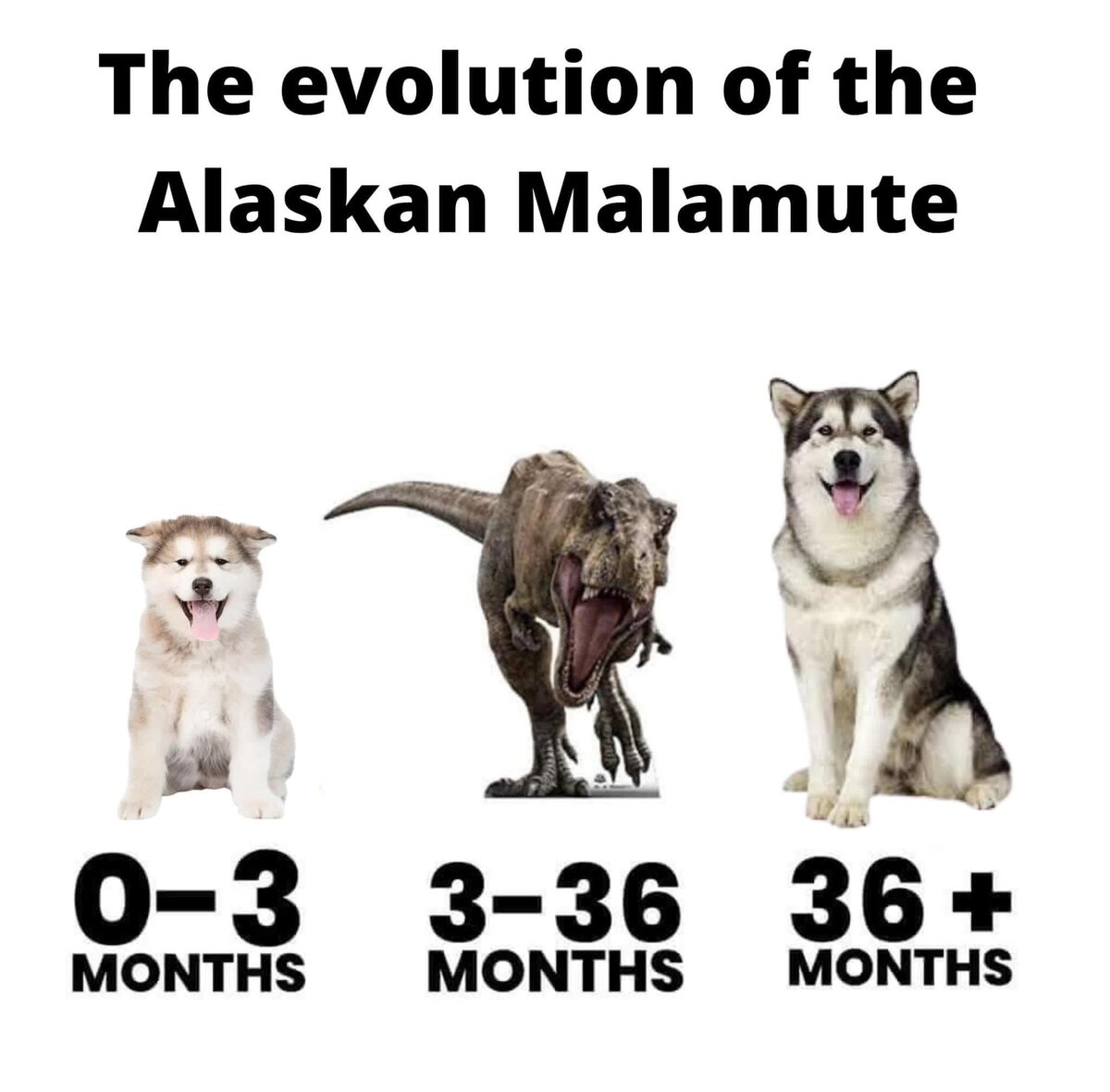 фото из открытого источника