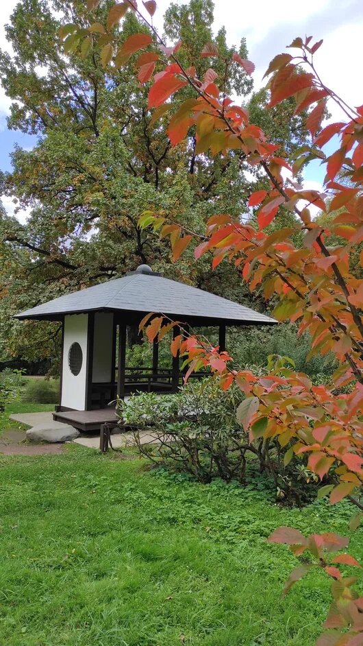 Японский сад в Ботаническом саду Петербурга