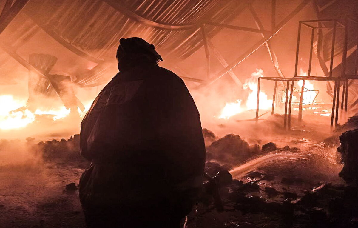 ГУ МЧС России по Свердловской области/ТАСС