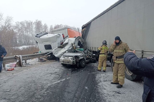    Фото:  ГУ МВД России по Красноярскому краю