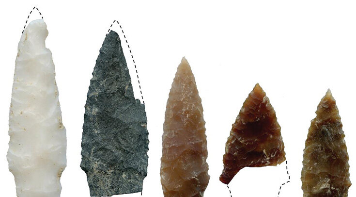   Loren Davis et al. / Science Advances, 2022