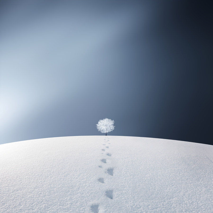 Название: Winter; Автор: Bess Hamiti; https://500px.com/photo/242208675/winter-by-bess-hamiti