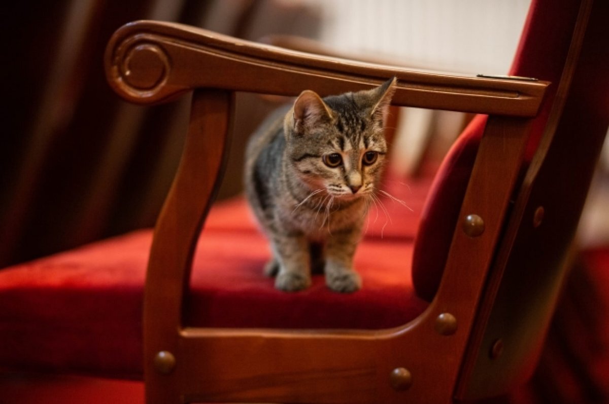    Для жителей Твери опубликовали праздничную афишу с 1 по 8 января