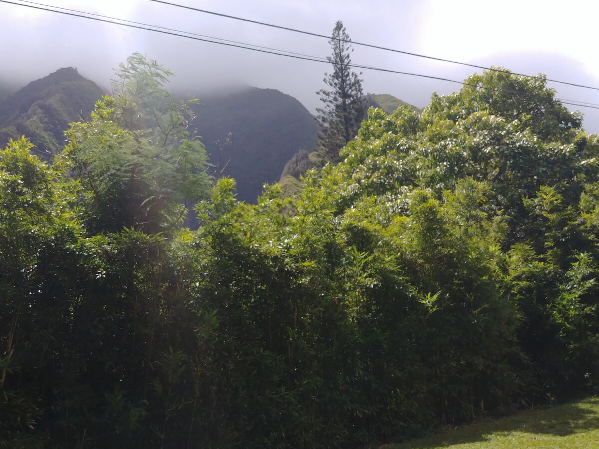 Изумрудные пики охраняют тихую долину