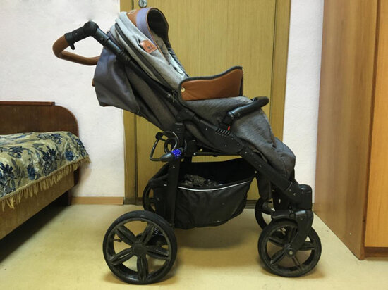     Фото УМВД России по Архангельской области