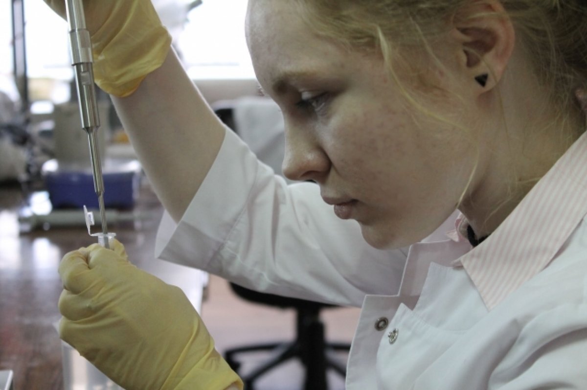    В Мурманской области растёт спрос на молодых специалистов