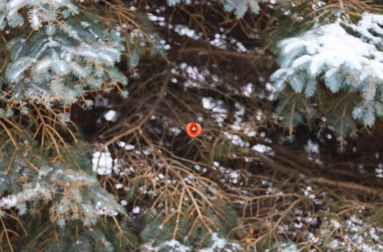    Scott Taylor, petapixel.com