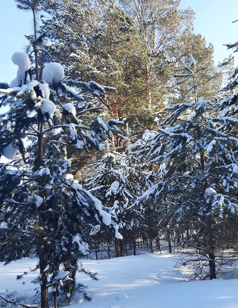 Фото моей подписчицы Нелли Новосёловой.