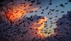    Фото: proza.ru Анна Норкина