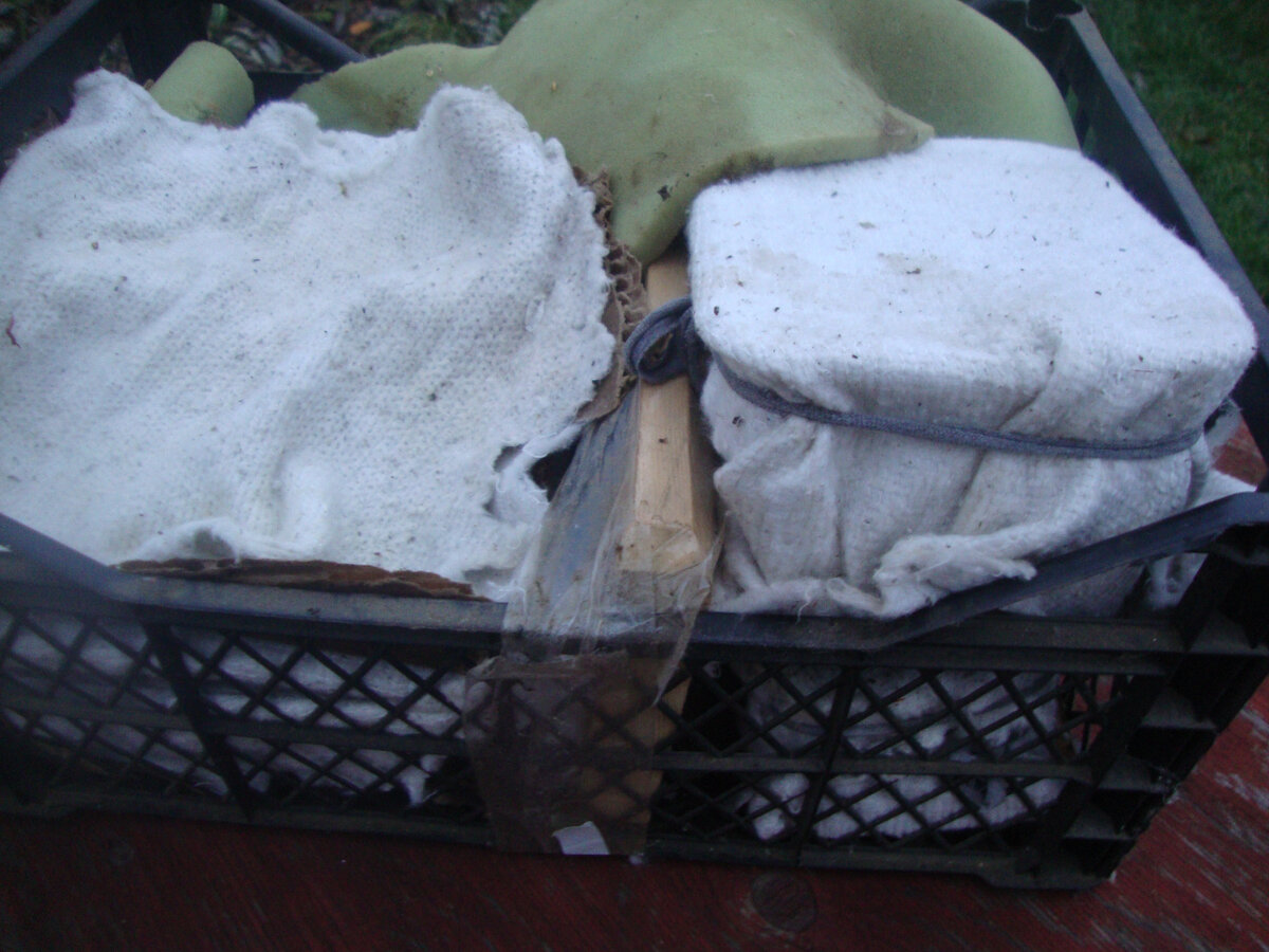 это осенние посевы