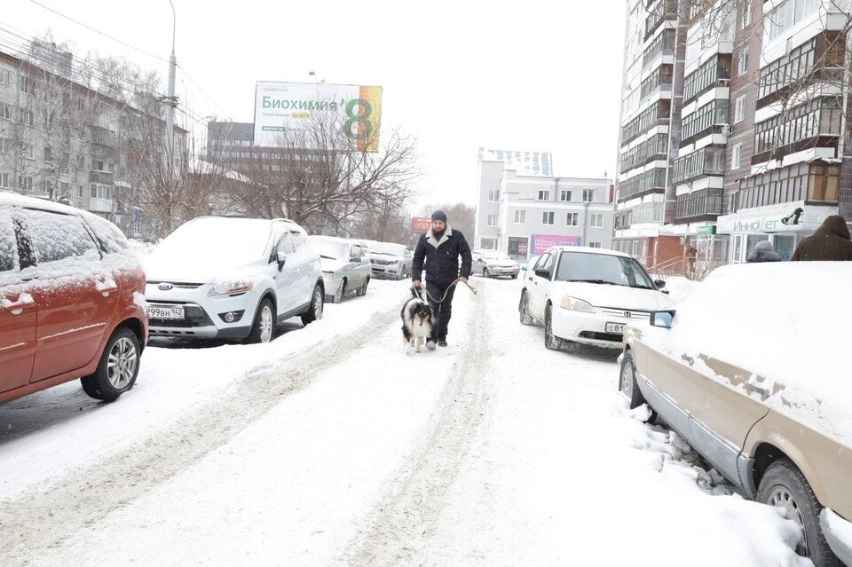   Ксения Высотина