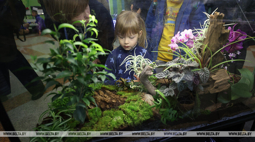    Иван Русских