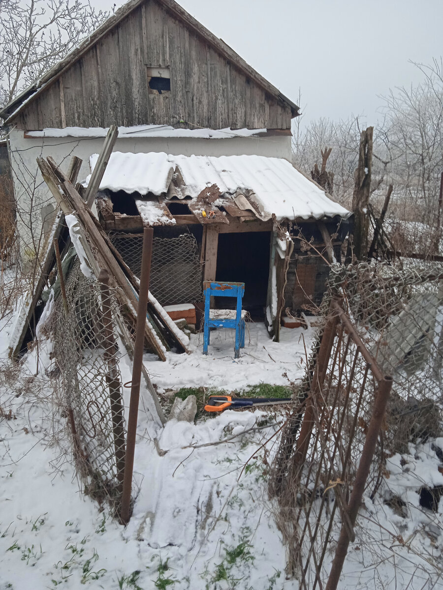 Как из свинарника сделать курятник