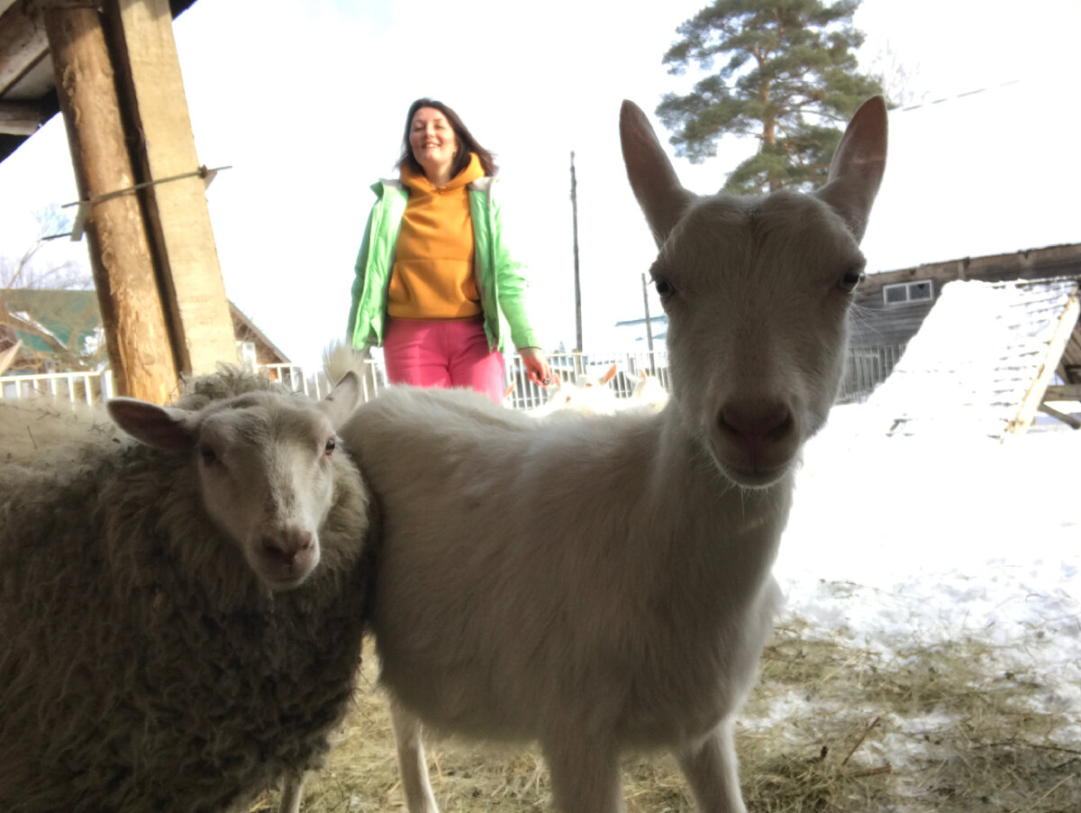 Фрося. Юля. Алиса.