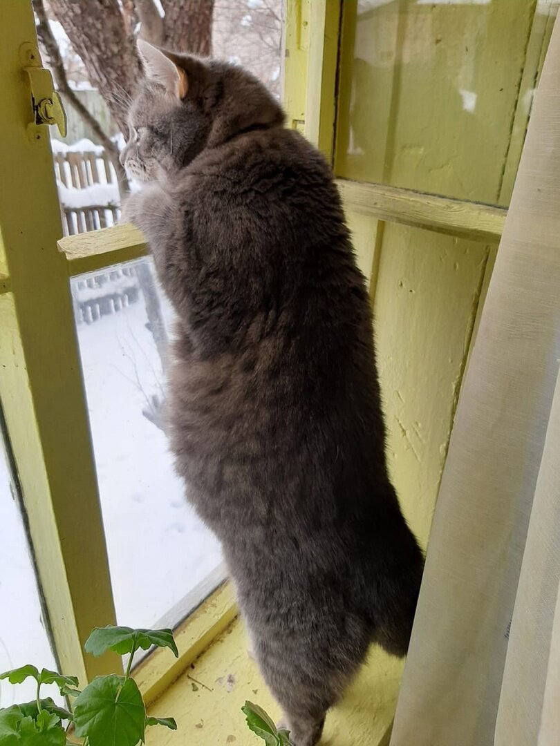 иллюстрация из яндекс картинки.