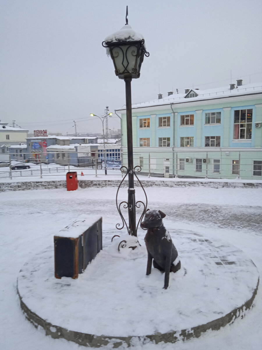 Фото автора, 24 декабря 2021г.