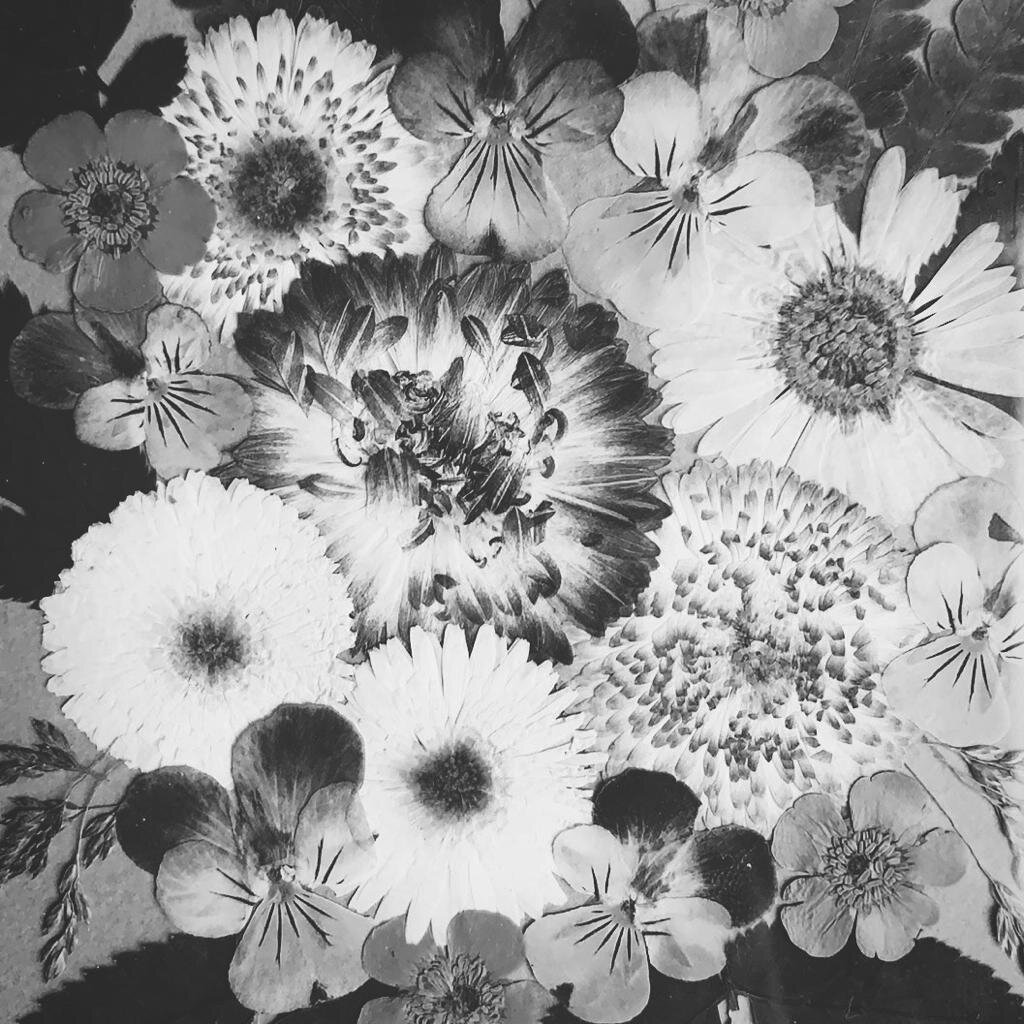 Фрагмент флористической картины