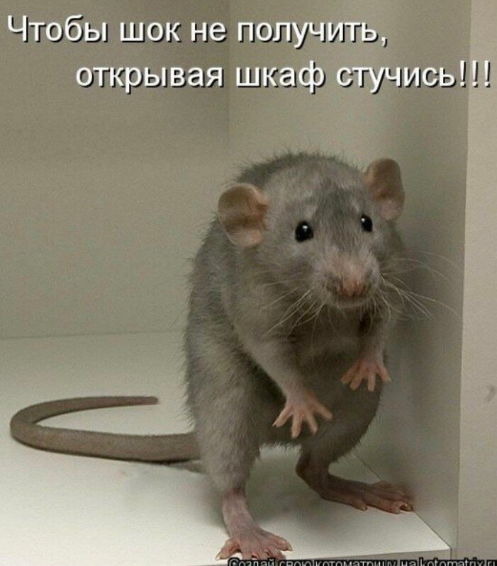 Картинка взята из просторов инета с иллюстративной целью