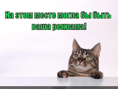 Источник totkot.ru. Рыбу не фоткала