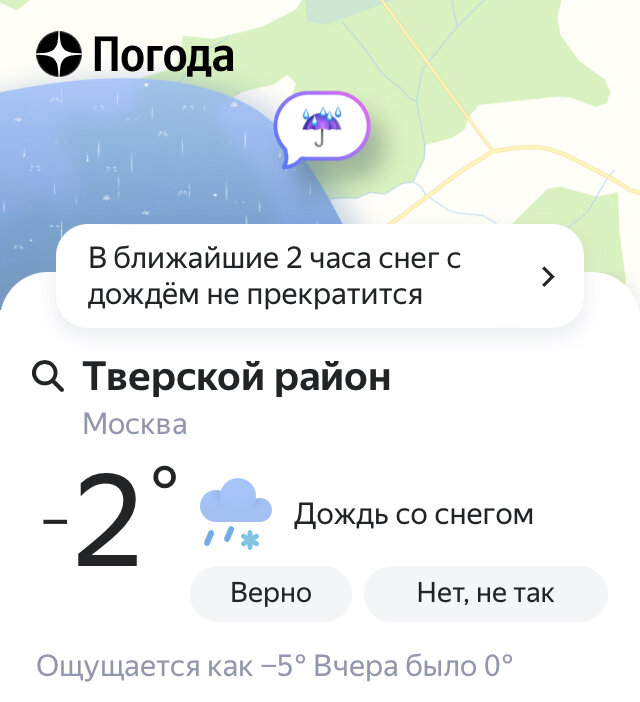 Скрин из Яндекс.Погоды