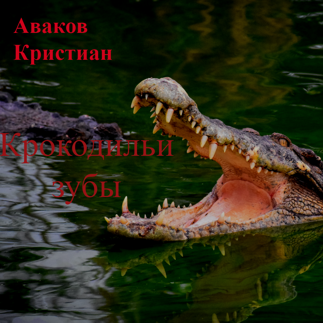                     Глава 1      Телефонный звонок
                                                                                            
-Здравствуйте. Три малиновых кекса! И побыстрее! – говорю я ,с улыбкой входя в кафе Луны.
- Приветик. Как дела с проектом? А почему ты одел эту мятую рубашку? Фи….
- Тцццц…
Мы с Луной знакомы уже два года. Она веселая и милая , но иногда бывает такой стервой. Уххх…
Но именно это мне в ней и нравится.
- Тебе точно больше ничего не надо , работничек? – спрашивает она , смотря на меня,
      Я улыбнулся. Просто улыбнулся. Странно? Да!
Но такой у нас с ней был тип общения.
        Я сажусь за 13 столик (мой любимый столик)
и открываю  Tik Tok . Блин, сколько же всякой бесполезной фигни. Ужас!
         Через 3 минуты ко мне подходит Луна с кексами в руках.                                                               - Смотри не обляпайся!     
    -Да уж постараюсь ! – отшучиваюсь я.     Я быстро съедаю все три кекса и направляюсь к выходу! За 1 столиком сидит какая-то странная бабулька. Она следит за мной. Да, следит. Но не только за мной , а за всеми ! Каждый раз когда я захожу в кафе , она сидит за этим столиком и разглядывает меня. В народе ее прозвали «Смотрилка».
        Выйдя из здания , я направляюсь к своему 
Toyota Avalon , но вдруг я слышу гудок. А это означает только одно – кто-то опять от меня что-то хочет.
          Я поднимаю трубку.
- Алло! Кто это?- спрашиваю я раздраженно.
- О, Майкл, привет! Это Синий!-слышится голос.
-А, Леха, это ты?! Сколько лет , сколько зим!
 Как дела ? Как жена , дети?
       Алексей ,или же Синий,( эту кликуху мы ему придумали в университете , потому что один раз он пришел в костюме Аватара) был моим однокурсником. У нас с ним были теплые отношения. Несмотря на его любовь к синим пришельцам, он смог стать хорошим полицейским.  - Все отлично! Благодарю. Слушай ,ты же помнишь Рока ?
- Допустим. Что-то случилось? 
- Да так. Мы нашли его обезглавленное тело около Триунского Музея. Это конечно секрет , но тебе , как другу, я не мог не сказать. Только без своих этих штучек. Не лезь , ок ?
- Д.д.д. Да! Ок!
- Я надеюсь на твое благоразумие!
- Давай! До встречи!
- Au revoir! * 
* с франц.-До свидания!
       Я сажусь в машину и начинаю обдумывать то, что только что услышал. Рок, бедный Рок. Что с тобой случилось?


            
