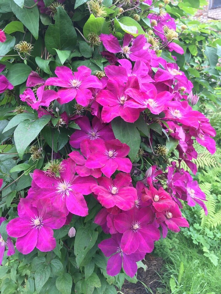 Фотоархив автора.