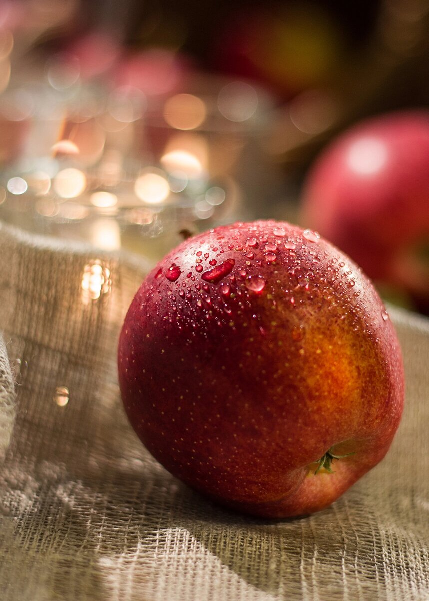 Фото Кристина Новикова