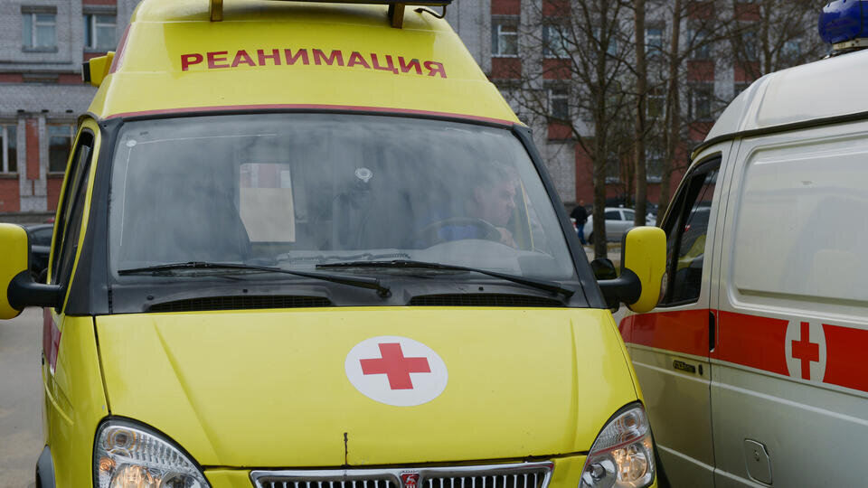 Фото: © РИА Новости