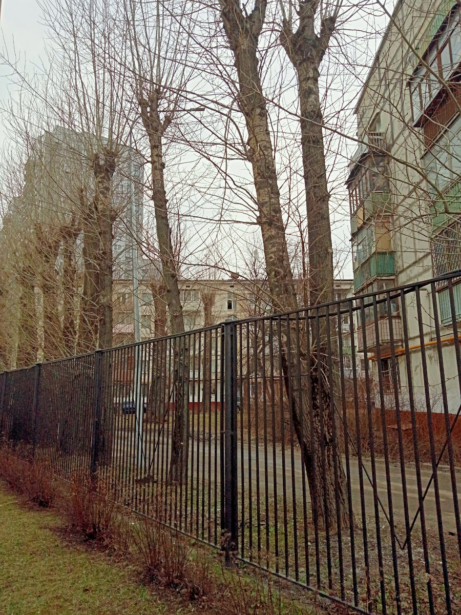 Старые дома на фоне высоток кажутся такими грустными старичками🥴, но в них наверное и живут настоящие коренные москвичи в нескольких поколениях.🤔