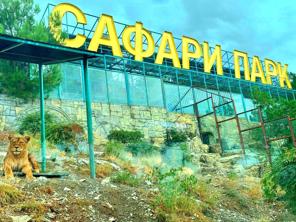 сафари парк в сочи