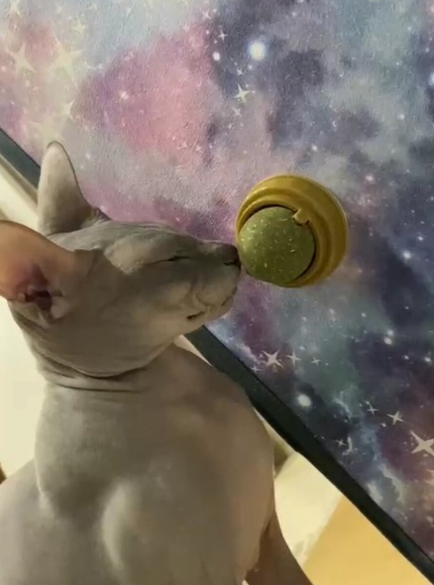 Ммм, чем пахнет? 