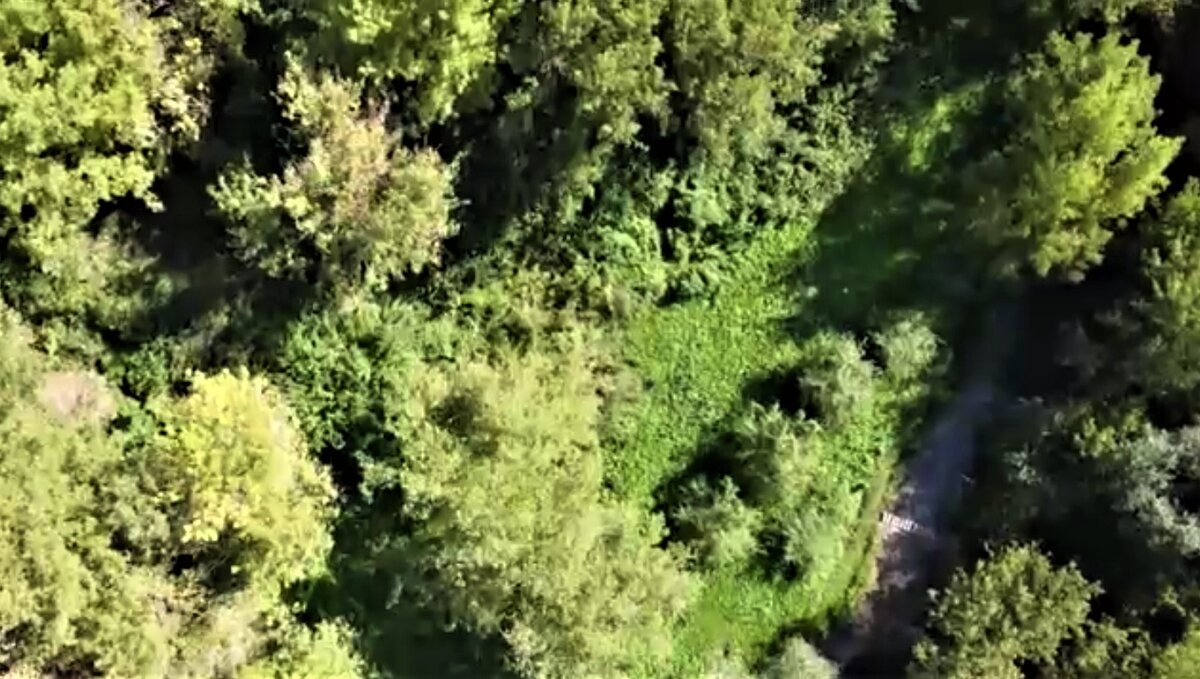 Так выглядят сверху заросли возле лозовских родников, ручьев и речки (кадр из видео-обзора). Вполне подходящее место для прогулки в пять лет. 