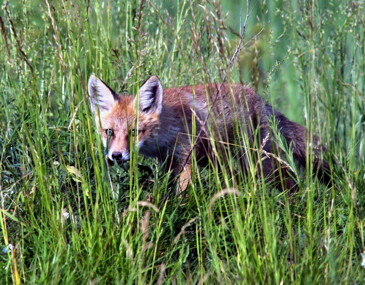 Фото: Сергей Зайцев / Globallookpress