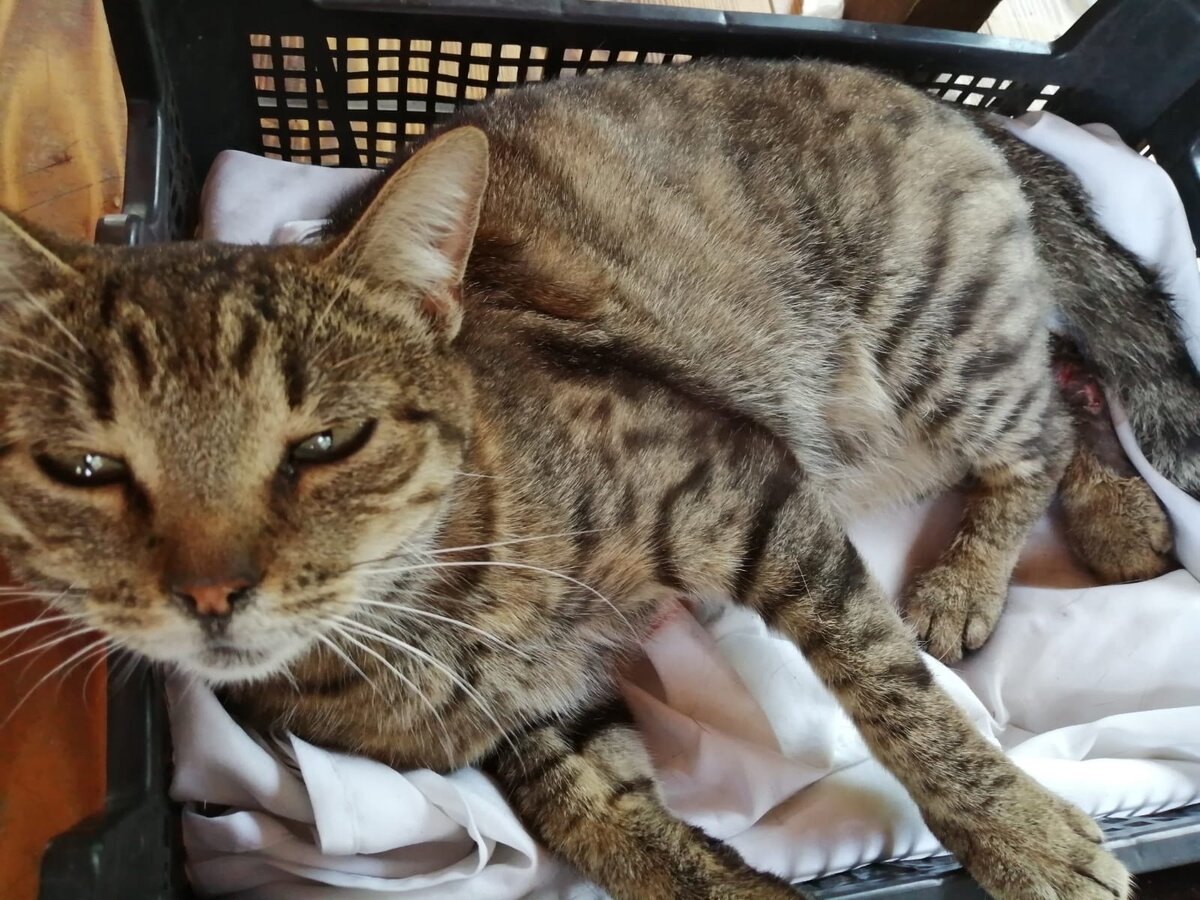 Вот с этой фотографии все началось.