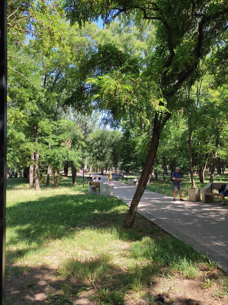 В тени деревьев Комсомольского парка.