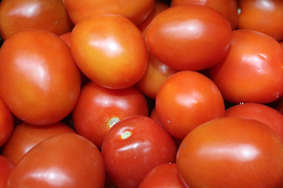 Фото: Petrov Sergey/news.ru via globallookpress.com