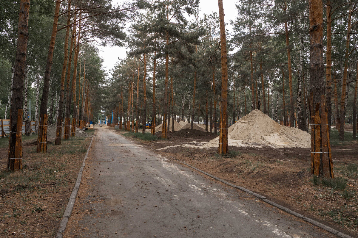 Тротуарная плитка в Тюмени в сквере Школьном: фото | Тротуарная плитка  нового поколения «Поревит» | Дзен