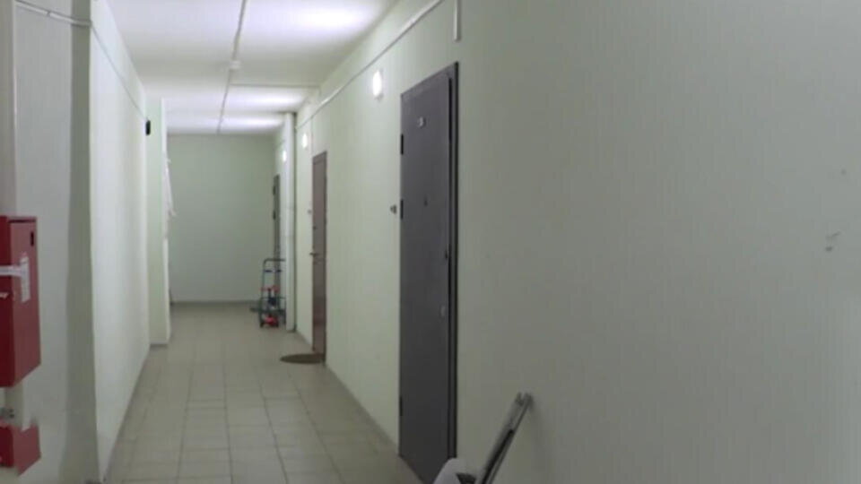 Фото: © скриншот видео