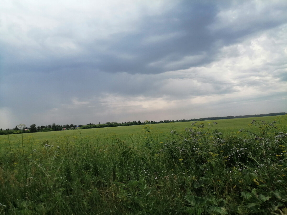 Фото из окна машины по дороге домой...