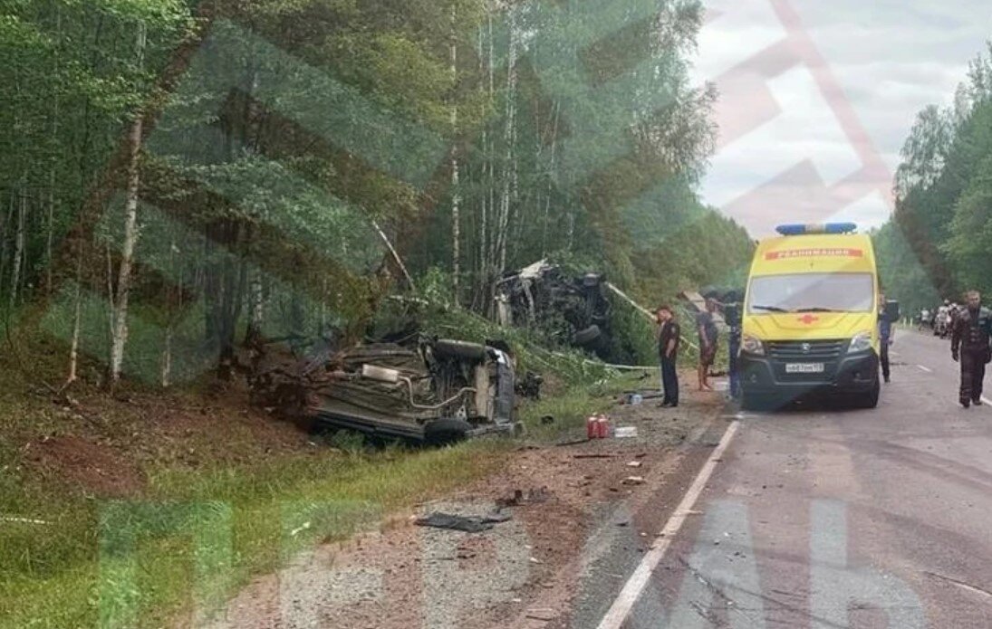 Фото большой сосновы пермского края