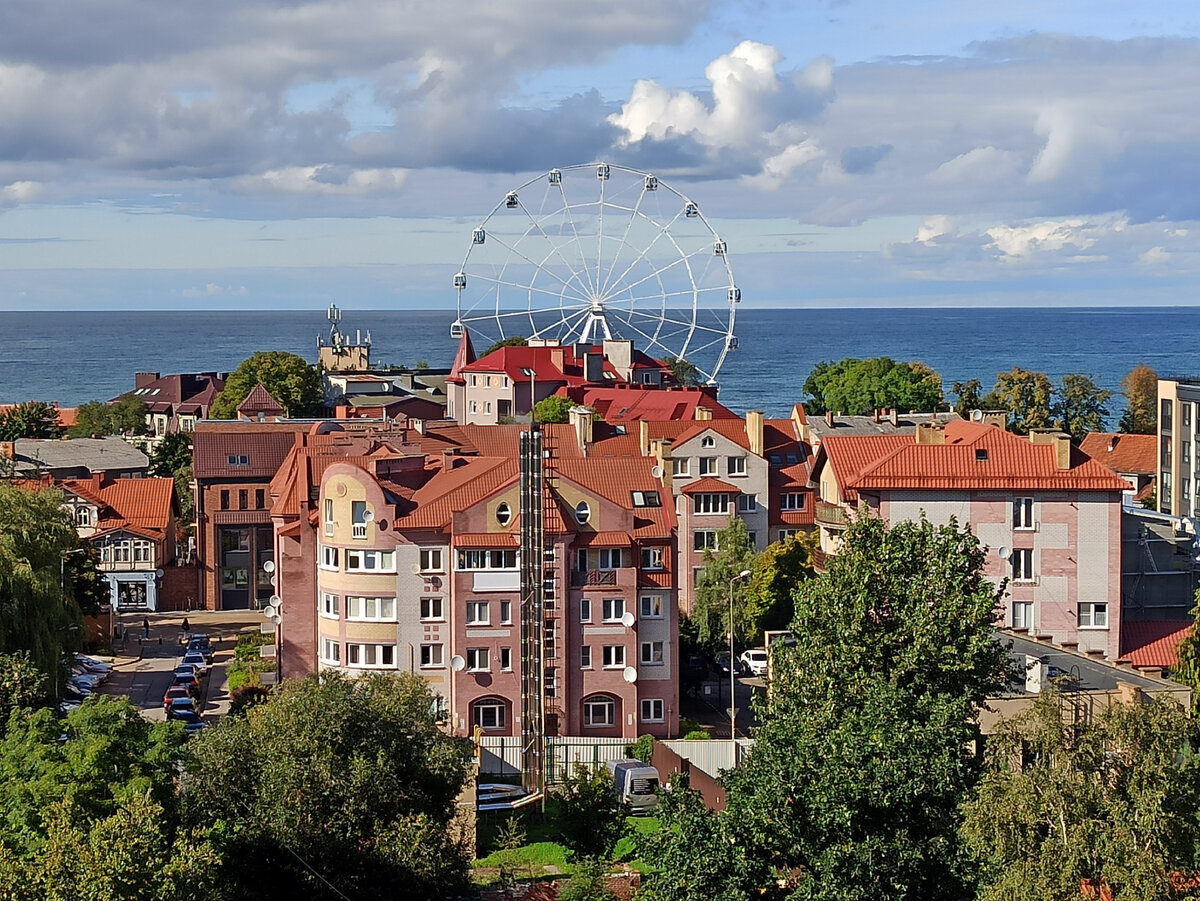 Зеленоградск фото города