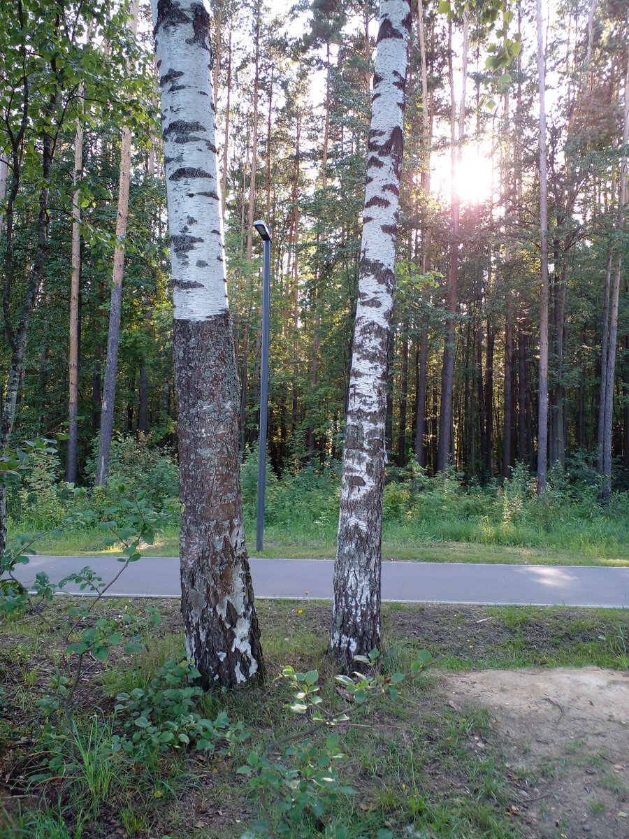 личное фото Смирновой Н.Е.