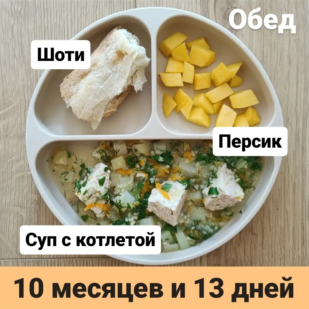 Пример тарелки в 10 месяцев 