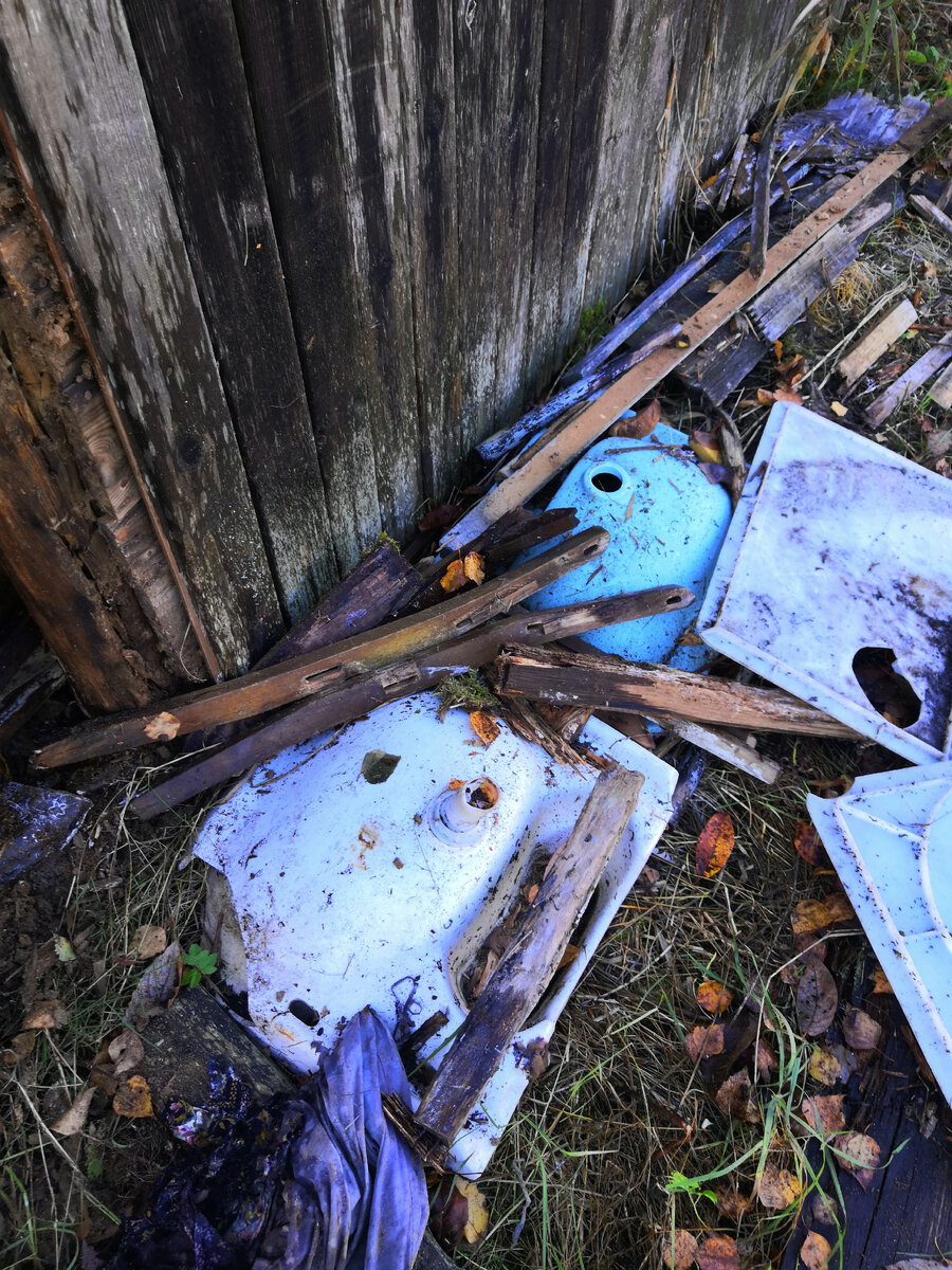 Вот те самые раковины.