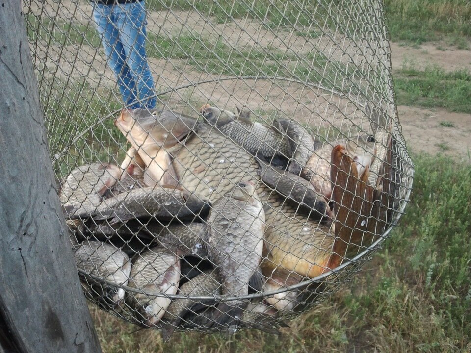 Рыбалка в июне на Дону